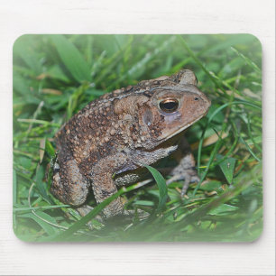 Alfombrilla De Ratón Frog Mousepad