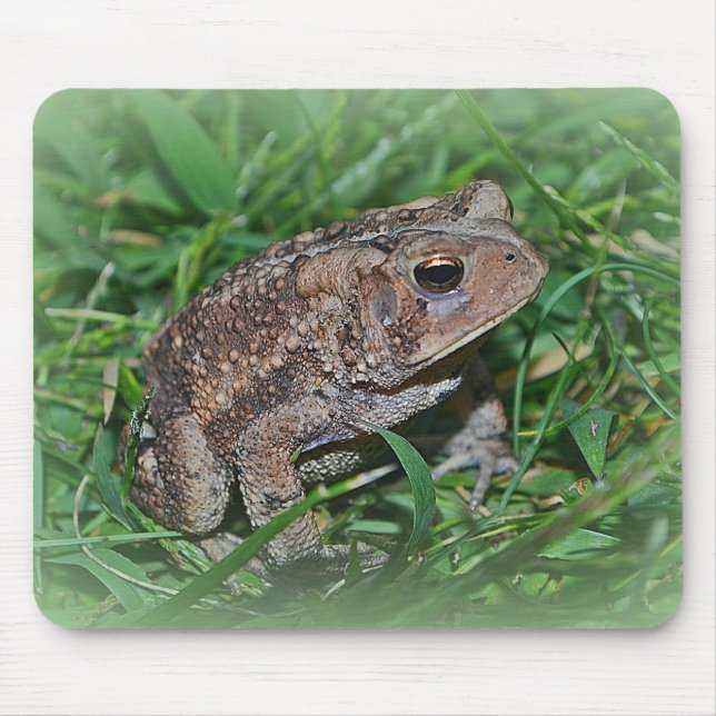 Alfombrilla De Ratón Frog Mousepad (Frente)