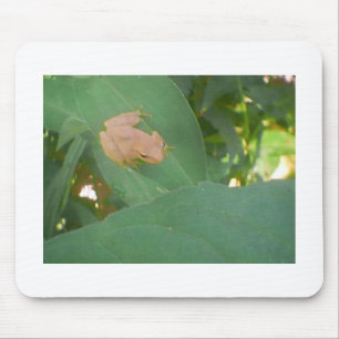 Alfombrilla De Ratón Frog Sitting on Green Leaf