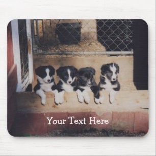 Alfombrilla De Ratón Frontera Collie Cuppies Perro Mousepad