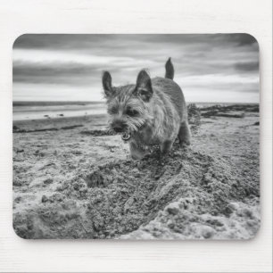 Alfombrilla De Ratón Frontera Terrier que cava, fotografía, Mousepad