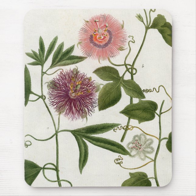 Alfombrilla De Ratón Fruta de la pasión Mousepad (Frente)