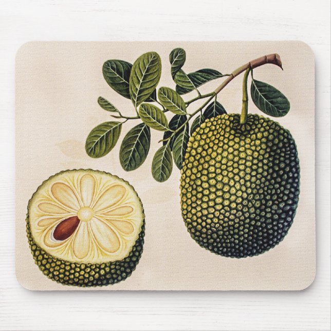 Alfombrilla De Ratón Fruta y oliage durión (Frente)