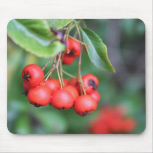 Alfombrilla De Ratón frutas en otoño, bayas rojas