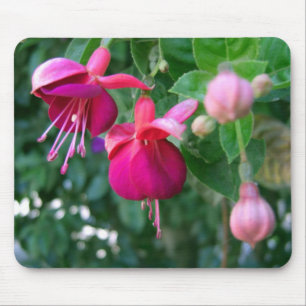 Alfombrilla De Ratón Fucsia 1
