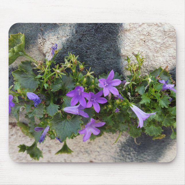 Alfombrilla De Ratón fuera de la flor de la pared (Frente)