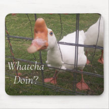 Funny Animal Pictures Mouse Pad