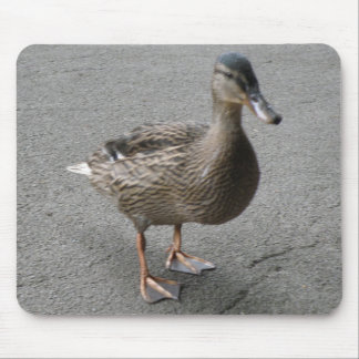 Alfombrilla De Ratón Funny Waddling Duck Mousepad