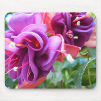 Alfombrilla De Ratón Fuschia Dio