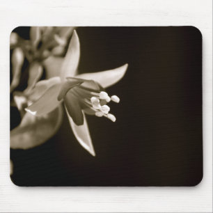 Alfombrilla De Ratón Fuschia negro/blanco Mousepad