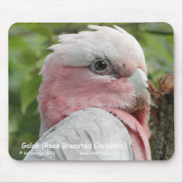 Alfombrilla De Ratón Galah (Cockatoo color de rosa de Breasted)