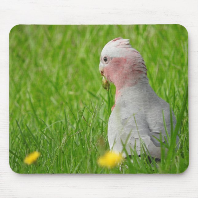 Alfombrilla De Ratón Galah Mousepad (Frente)