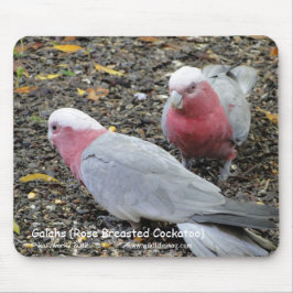 Alfombrilla De Ratón Galahs (Cockatoo color de rosa de Breasted)