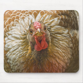 Alfombrilla De Ratón Gallina atada de oro de Wyandotte
