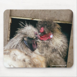 Alfombrilla De Ratón Gallinas Snuggling de los pollos de Silkie - aves