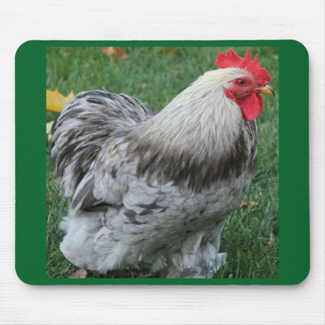 Alfombrilla De Ratón Gallo Mousepad (Frente)