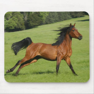 Alfombrilla De Ratón Galloping Horse Mousepad