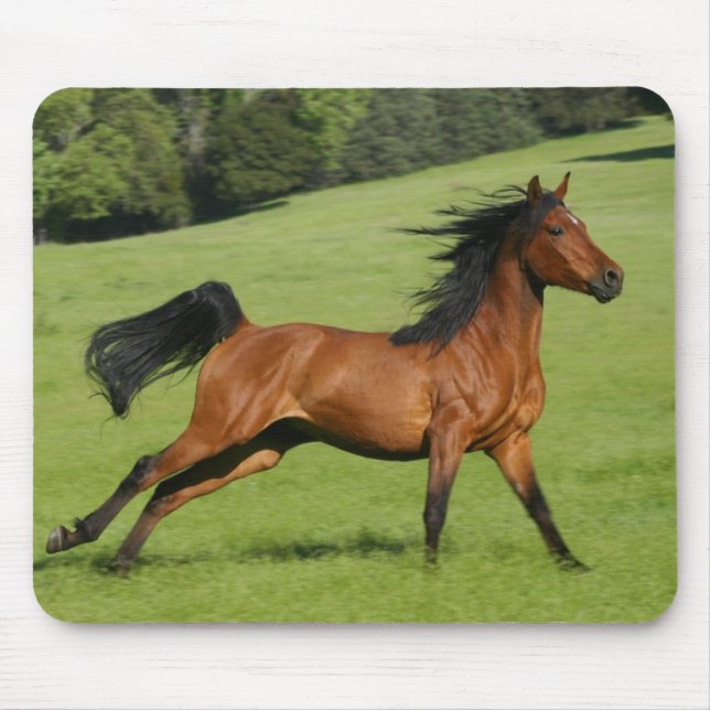 Alfombrilla De Ratón Galloping Horse Mousepad (Frente)