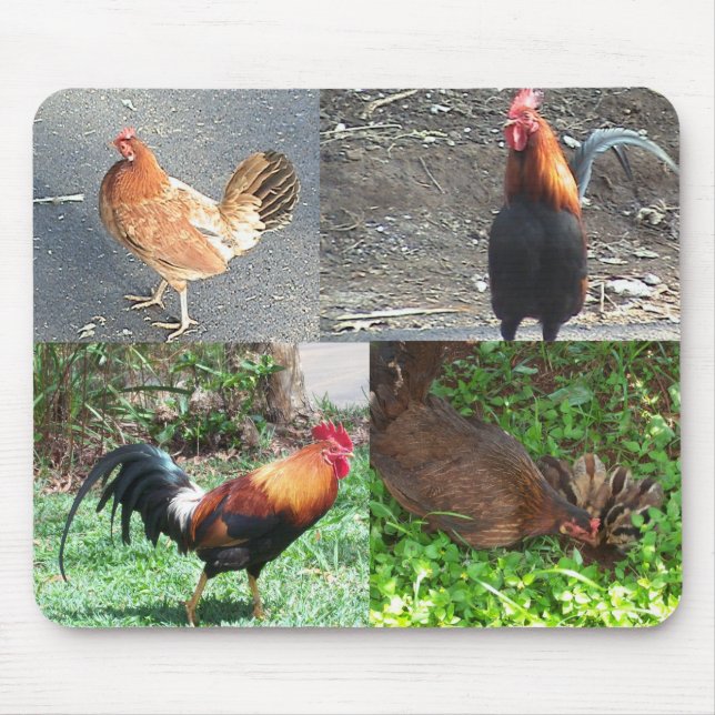 Alfombrilla De Ratón Gallos y gallinas Mousepad (Frente)
