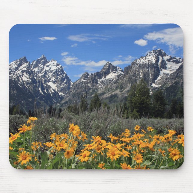 Alfombrilla De Ratón Gama de Teton magnífica nevada con las flores (Frente)