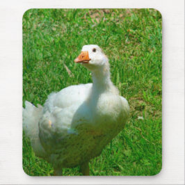 Alfombrilla De Ratón Gander