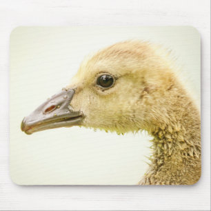 Alfombrilla De Ratón Ganso Canadiense (Gosling)