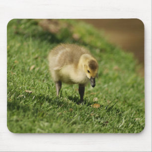Alfombrilla De Ratón Ganso curioso y la seta Mousepad del bebé del beb