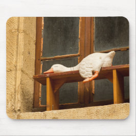 Alfombrilla De Ratón Ganso en reposo en un banco Mousepad