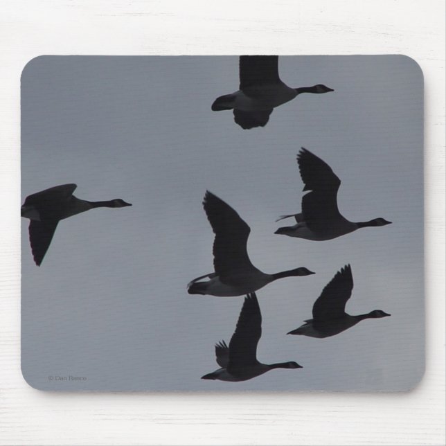Alfombrilla De Ratón Gansos canadienses B46 en vuelo (Frente)