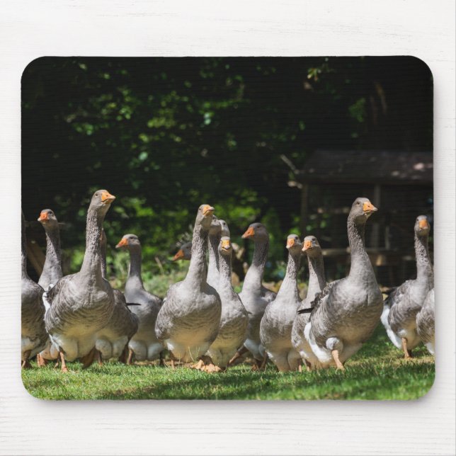 Alfombrilla De Ratón Gansos en el mousepad de Dordoña (Frente)