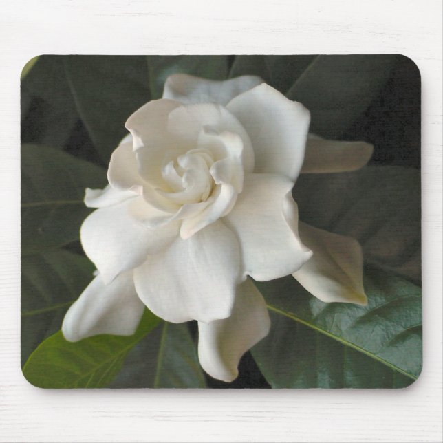 Alfombrilla De Ratón Gardenia Mousepad (Frente)