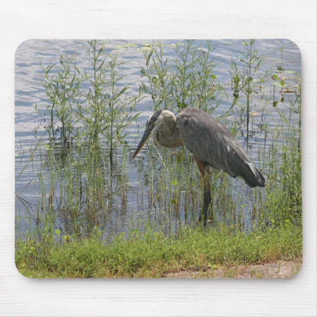 ALFOMBRILLA DE RATÓN GARZA AZUL MOUSEPAD (Frente)