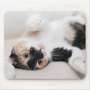 Alfombrilla De Ratón Gatito