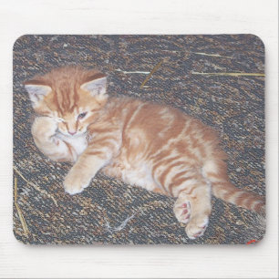 Alfombrilla De Ratón Gatito Atigrado Naranja