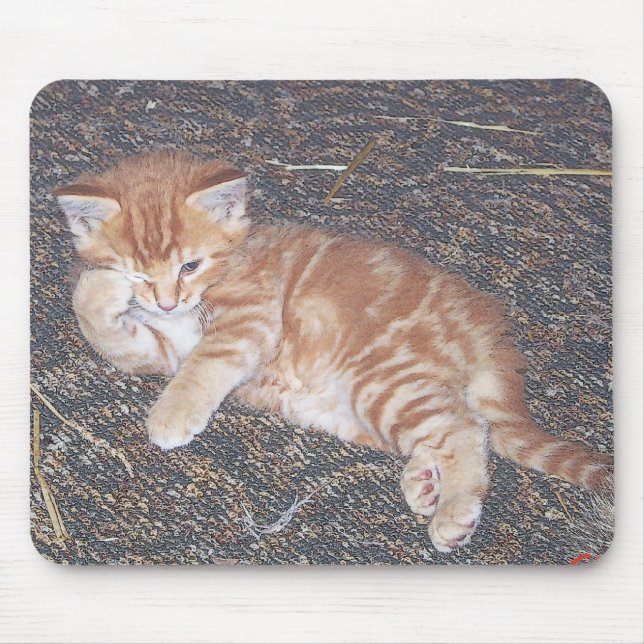 Alfombrilla De Ratón Gatito Atigrado Naranja (Frente)