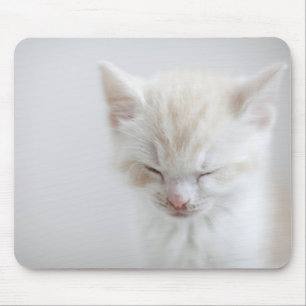 Alfombrilla De Ratón Gatito blanco durmiendo