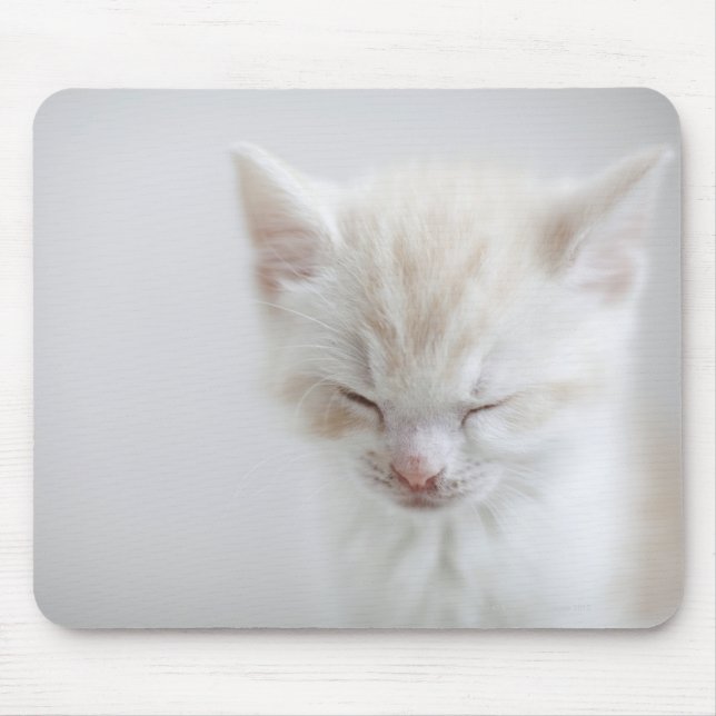 Alfombrilla De Ratón Gatito blanco durmiendo (Frente)
