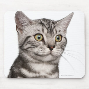 Alfombrilla De Ratón Gatito británico de Shorthair (4 meses)