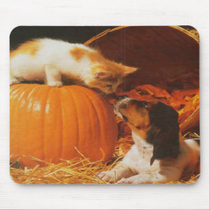Alfombrilla De Ratón Gatito, Calabaza y Mousepad de cachorro
