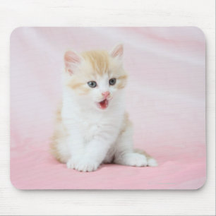 Alfombrilla De Ratón Gatito con fondo rosado