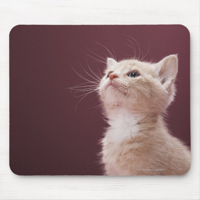 Alfombrilla De Ratón Gatito con Whiskers (Frente)