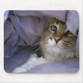 Alfombrilla De Ratón Gatito cubierto Mousepad