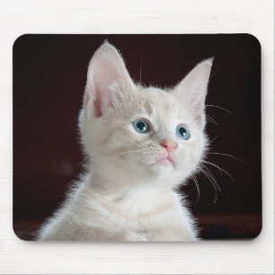 Alfombrilla De Ratón Gatito Cutie