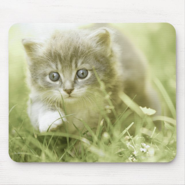 Alfombrilla De Ratón Gatito dando un paseo por el césped (Frente)