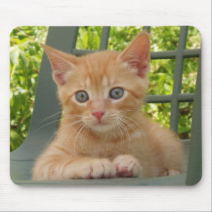 Alfombrilla De Ratón Gatito Dax Mousepad