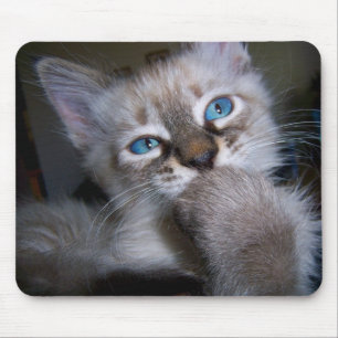 Alfombrilla De Ratón Gatito de ojos azules Mousepad del pensador