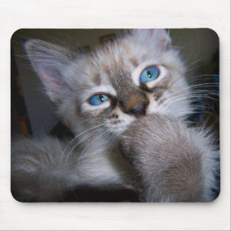 Alfombrilla De Ratón Gatito de ojos azules Mousepad del pensador