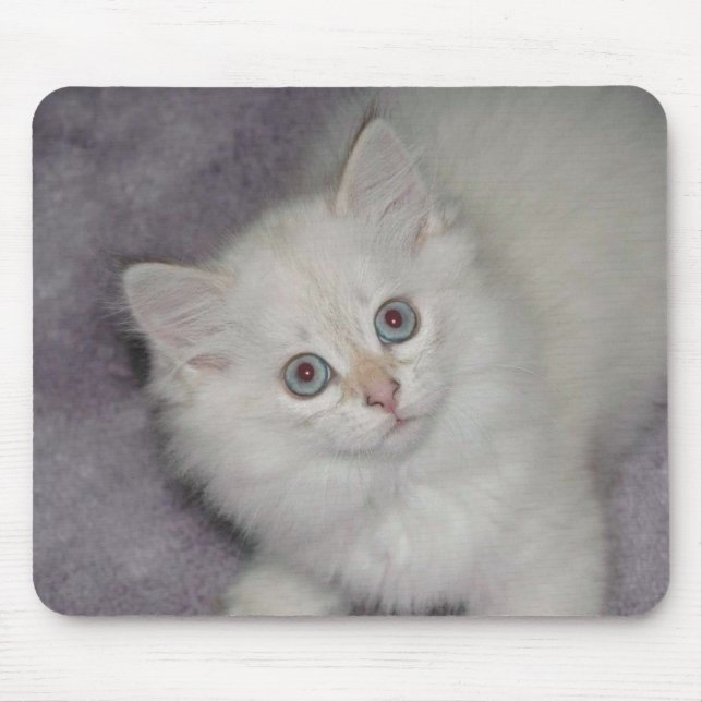 Alfombrilla De Ratón Gatito de oro Mousepad (Frente)