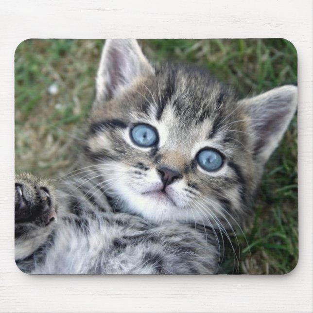 Alfombrilla De Ratón Gatito de plata de ojos azules adorable Mousepad (Frente)