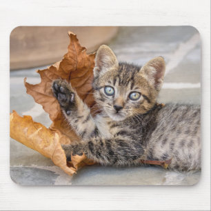 Alfombrilla De Ratón Gatito de Tabby lindo jugando con una hoja